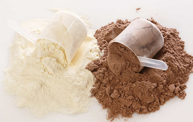 Yin or Yang: Whey Protein or Plant Protein?